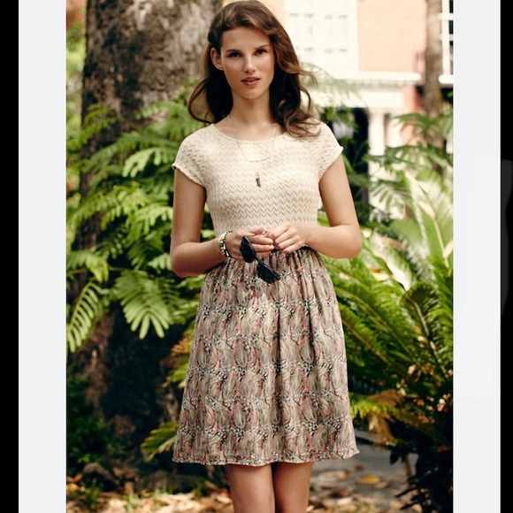 🍓Weston Anthropologie Arcata Beige Dress Feather Print Stretch Top Sz Small M - Picture 14 of 15